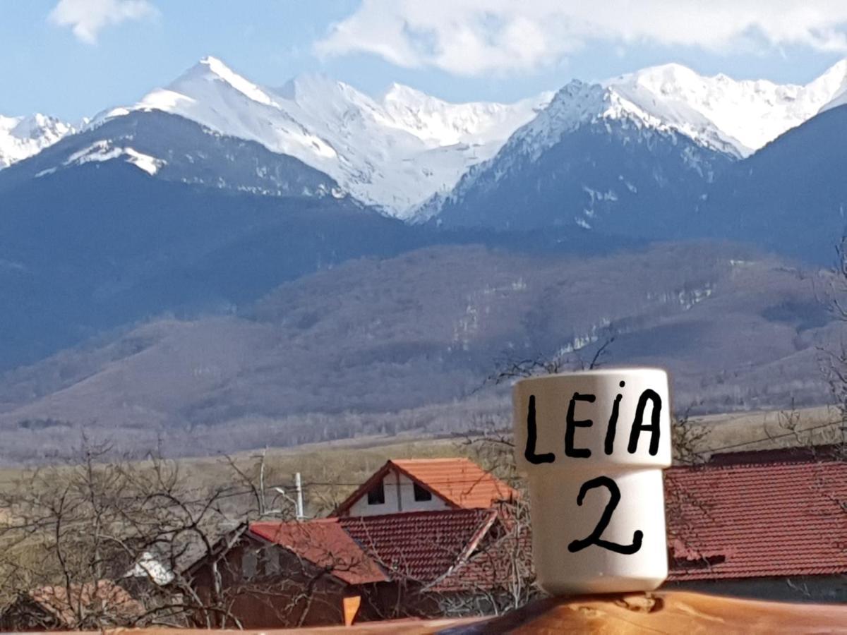 Pensiunea Leia Transfagarasan Cîrţişoara Eksteriør billede