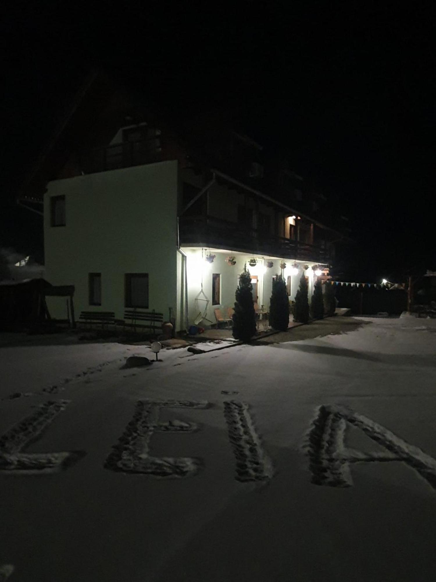 Pensiunea Leia Transfagarasan Cîrţişoara Eksteriør billede